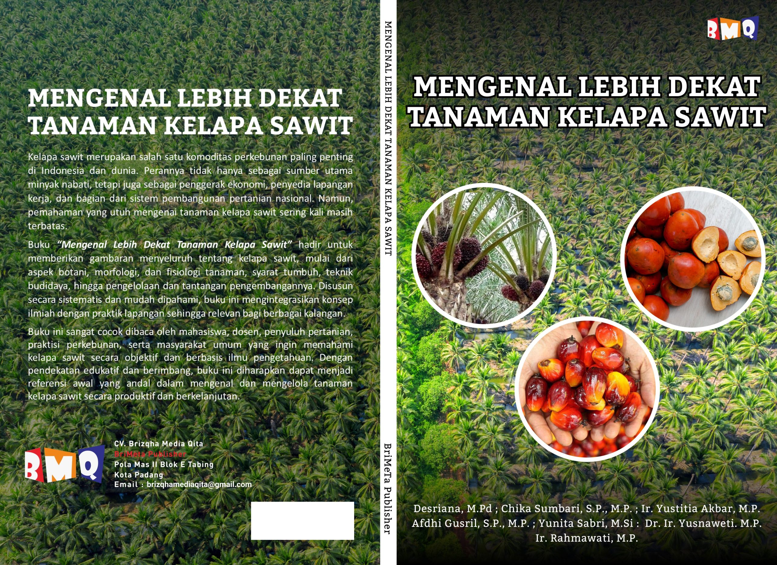 MENGENAL LEBIH  DEKAT TANAMAN  KELAPA SAWIT